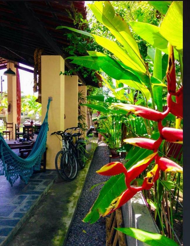 Villa Albardao Serrambi Pôrto das Galinhas Exteriér fotografie